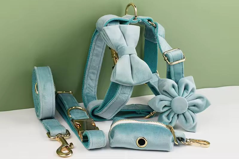 Velvet Harnas Set