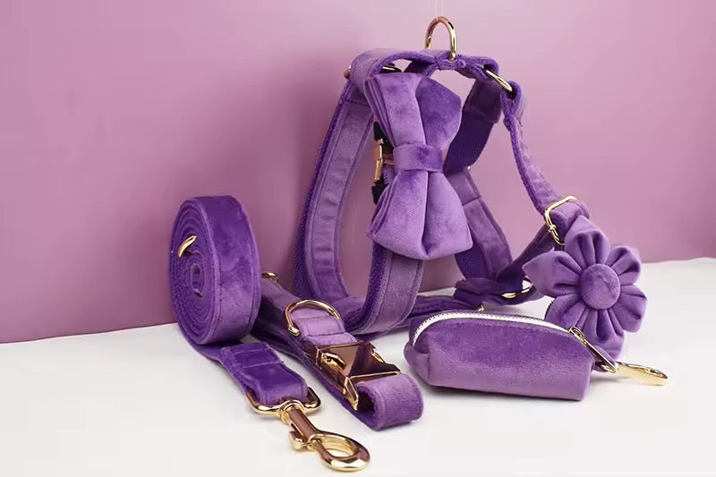 Velvet Harnas Set