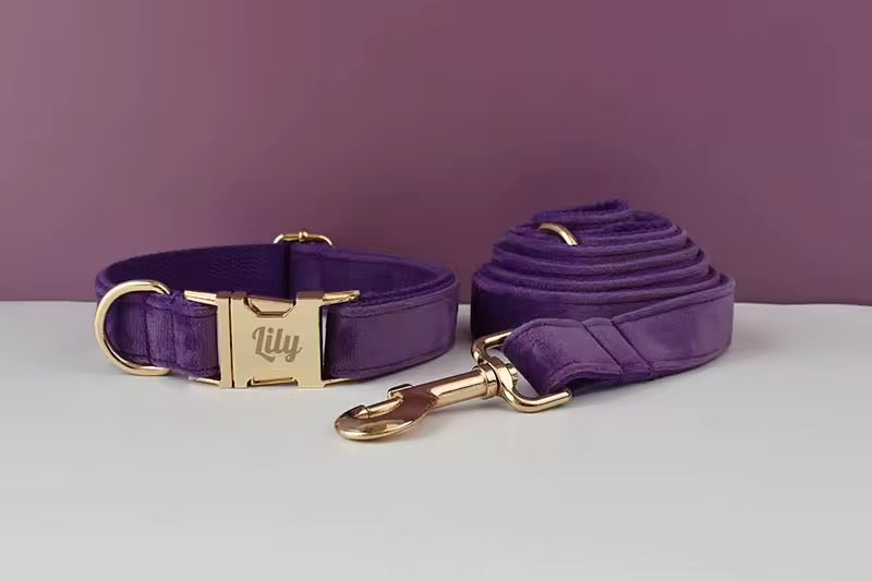 Velvet Harnas Set