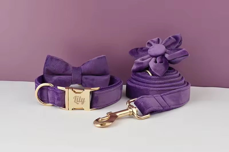 Velvet Harnas Set