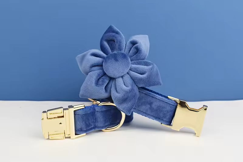Velvet Harnas Set