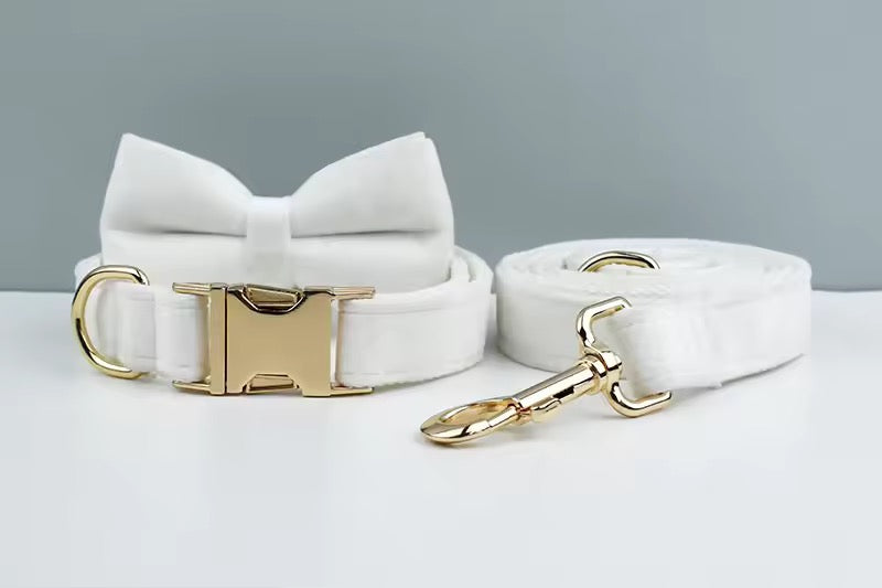 Velvet Harnas Set