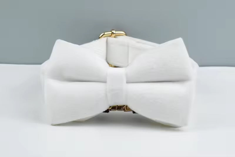 Velvet Harnas Set