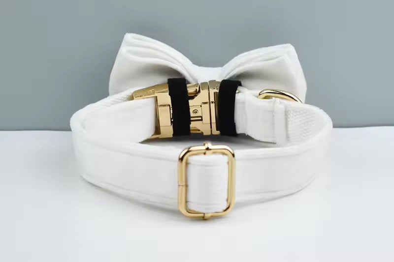 Velvet Harnas Set