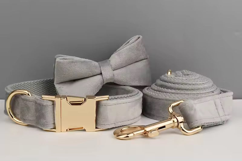 Velvet Harnas Set