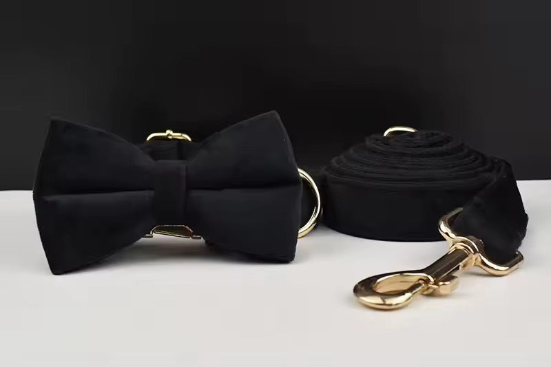 Velvet Harnas Set