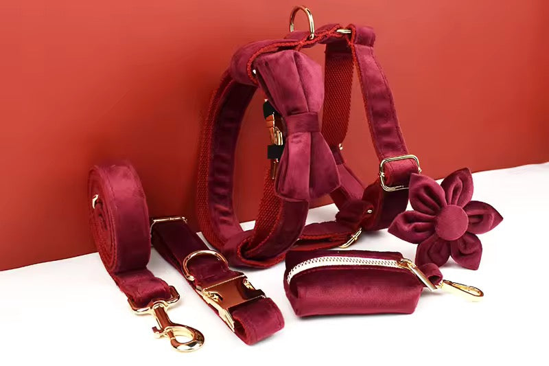 Velvet Harnas Set