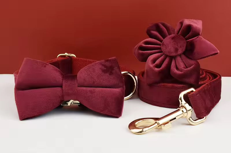 Velvet Harnas Set