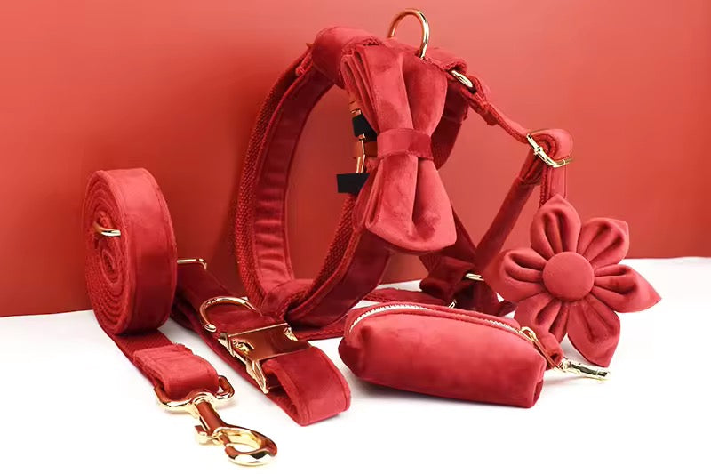 Velvet Harnas Set