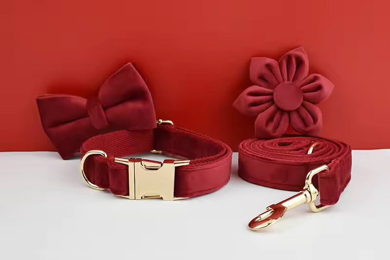 Velvet Harnas Set