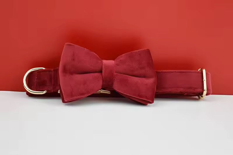 Velvet Harnas Set