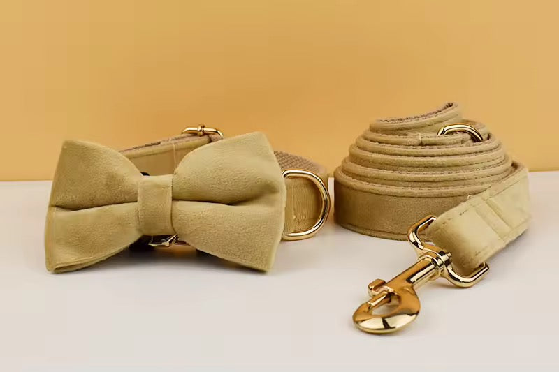 Velvet Harnas Set