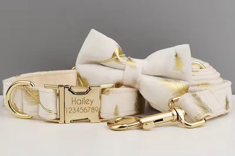 Velvet Harnas Set
