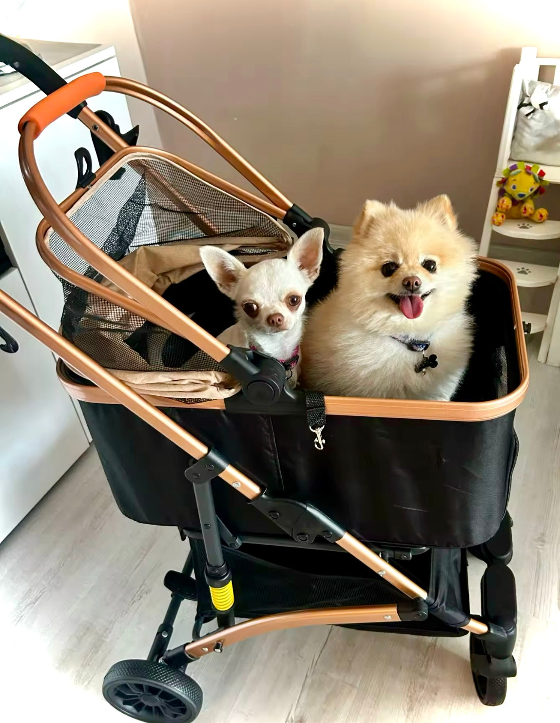 Hondenbuggy