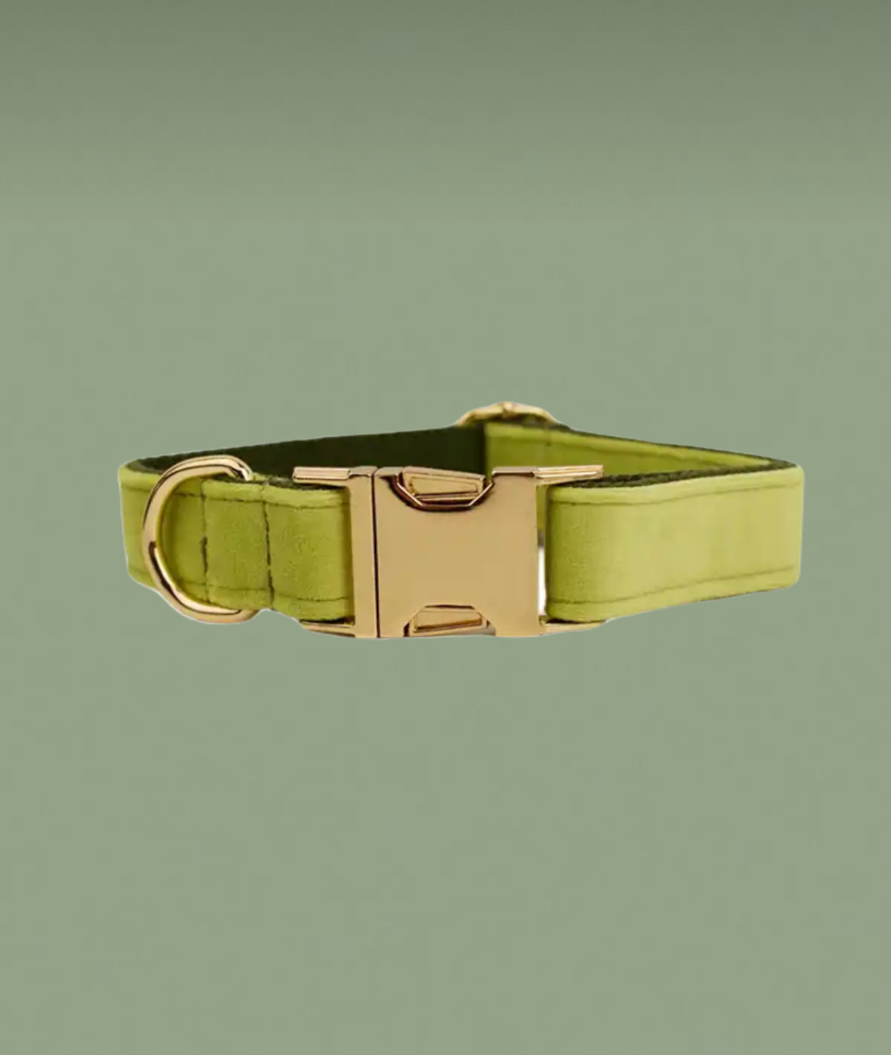 Velvet halsband