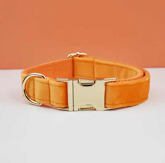 Velvet halsband