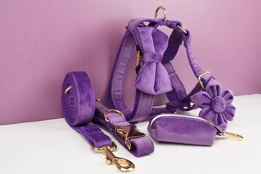 Velvet Harnas Set