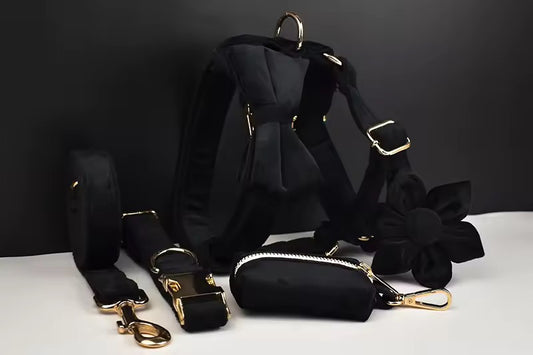 Velvet Harnas Set