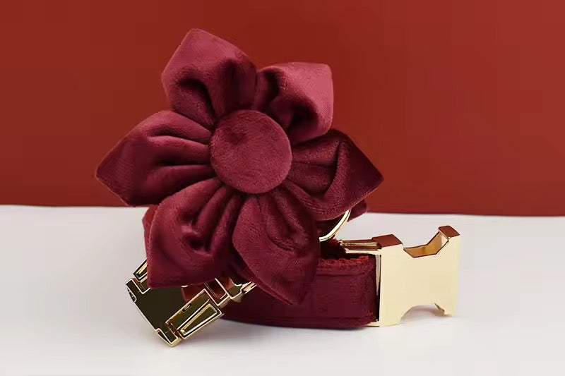 Velvet Harnas Set